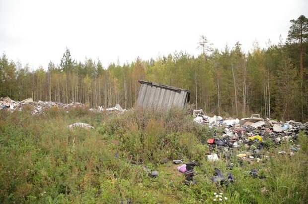 Петербуржцы больше 600 раз за день пожаловались на мусор в городе
