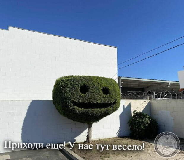 У нас весело