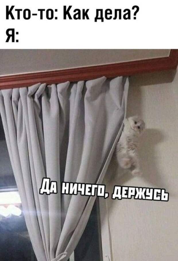 картиночки