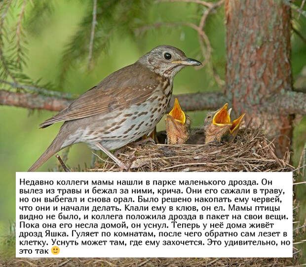 www.vsyako.net