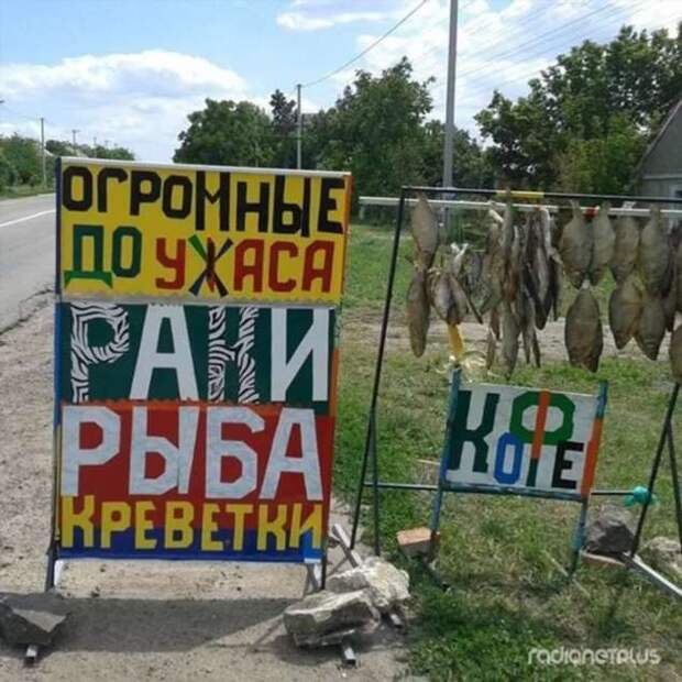 Прикольные вывески. Подборка chert-poberi-vv-chert-poberi-vv-56501211092020-8 картинка chert-poberi-vv-56501211092020-8