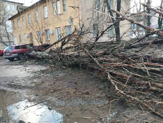 Дерево упало и перегородило проезд во двор на ул