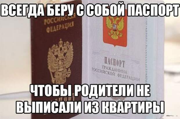 Картинки со смешными подписями картинки, юмор, прикол