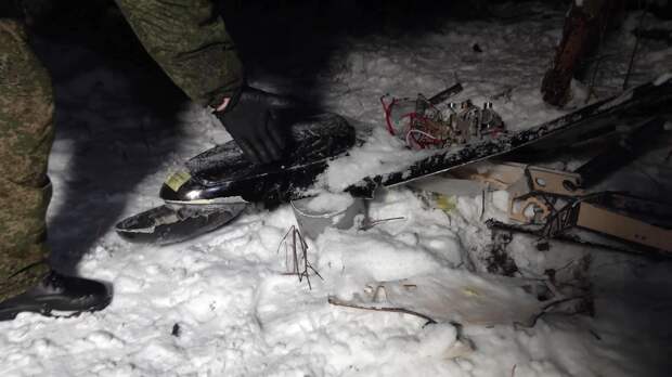 В Турции указали на важную деталь атаки на резиденцию Путина