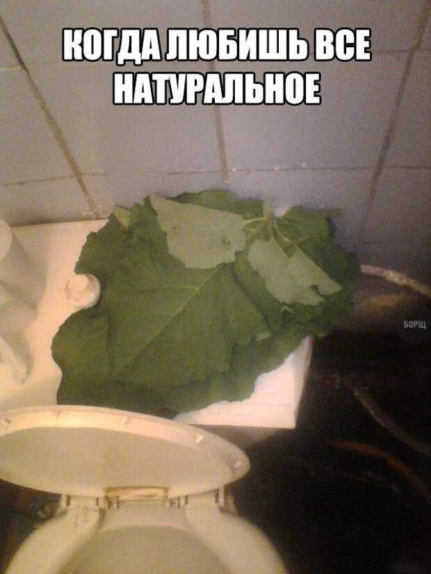 Прикольные фото на выходные! приколы, фото, юмор