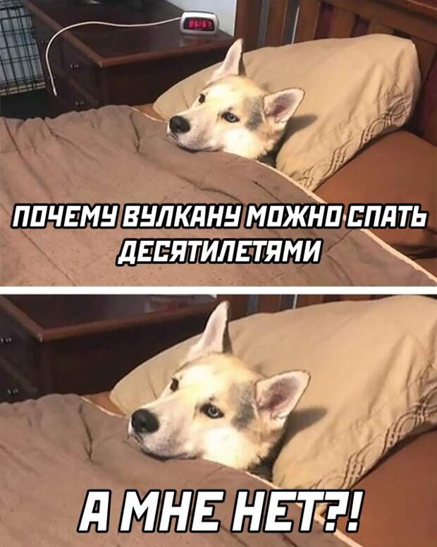 Смешные картинки вечер 7 мая 2021