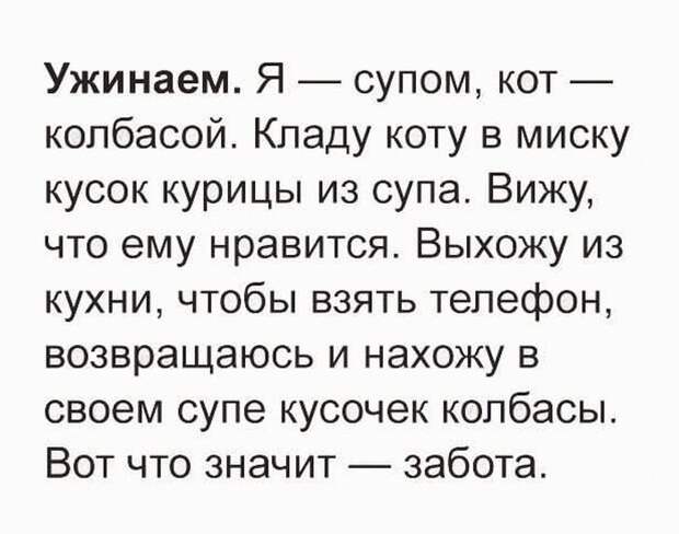 Истории и шутки для настроения