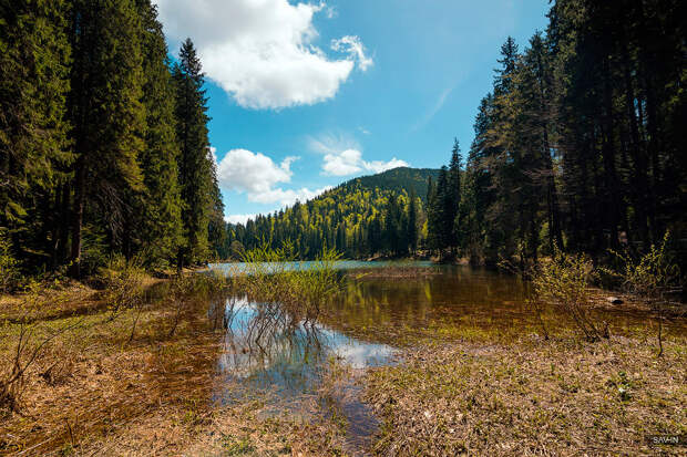 Весна в Карпатах