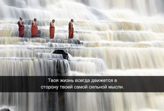 Житейская мудрость в прикольных картинках (23 фото)
