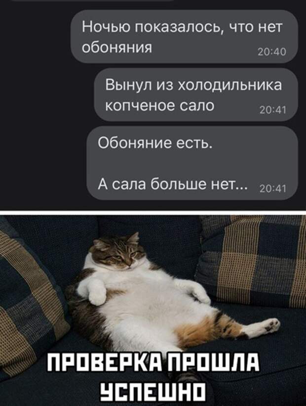 Проверка прошла успешно