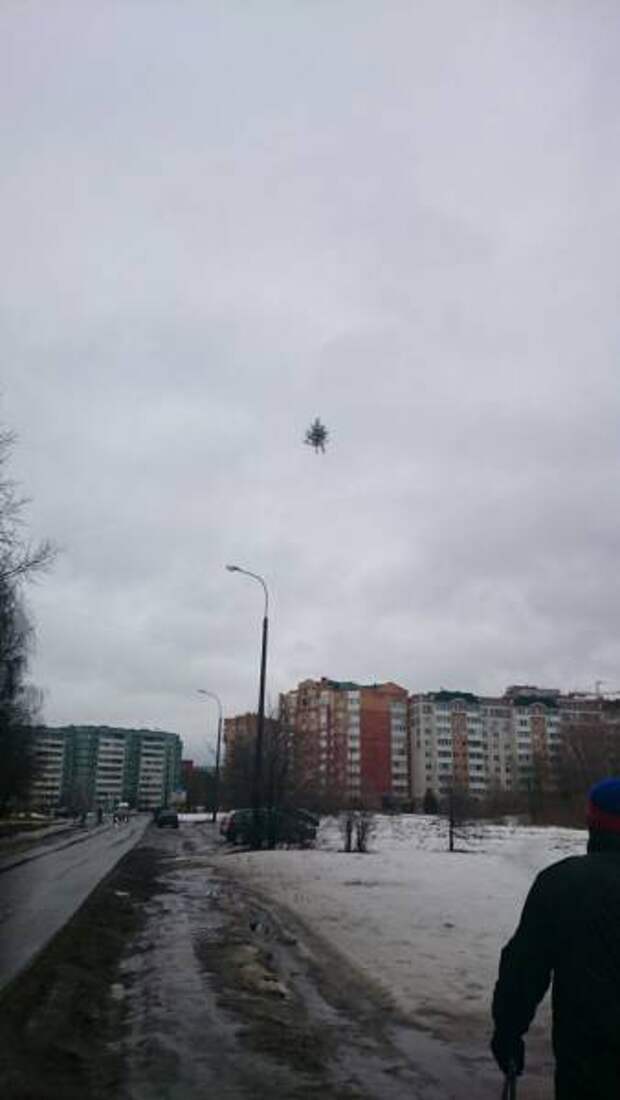 Волшебные зимние фото (30 фото)