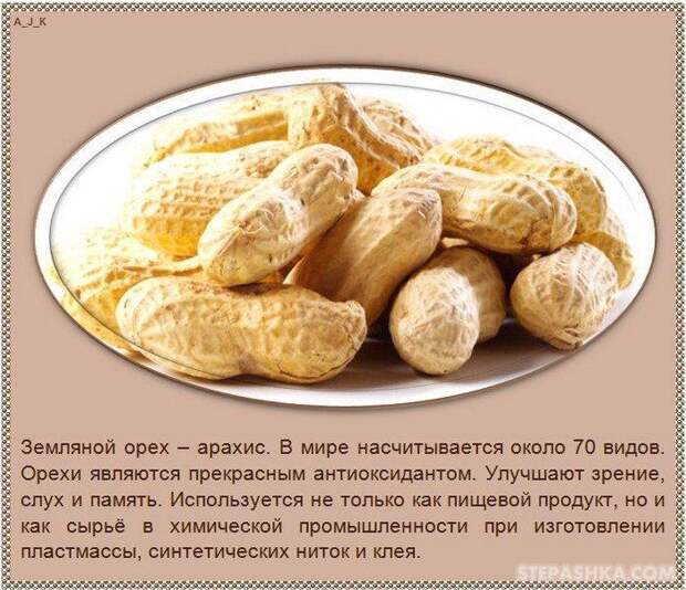 101540833335333nuts_10 (700x604, 118Kb)