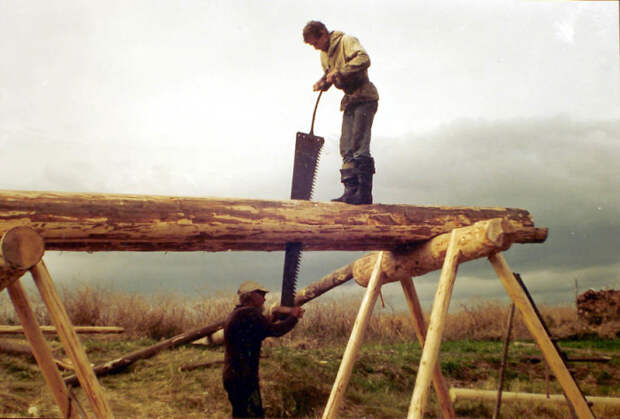 Почему в прошлом веке строили срубы даже для собак