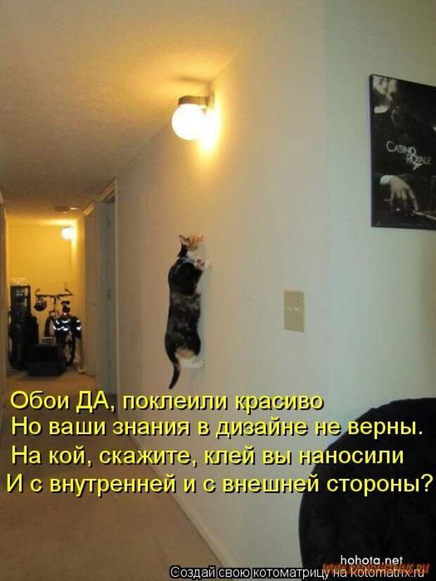 Уфф!!! Ну наконец-то! Котоматрицы великолепные, каждая с улыбкой и хорошим настроением!