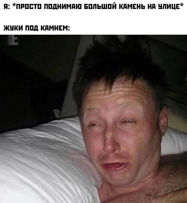 Комментарии и картинки из соцсетей