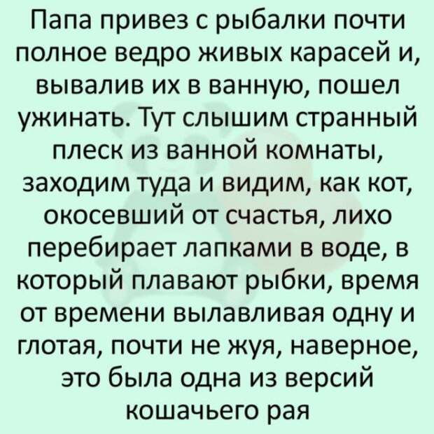 10+ коротких жизненных истории, которые заставят похохотать