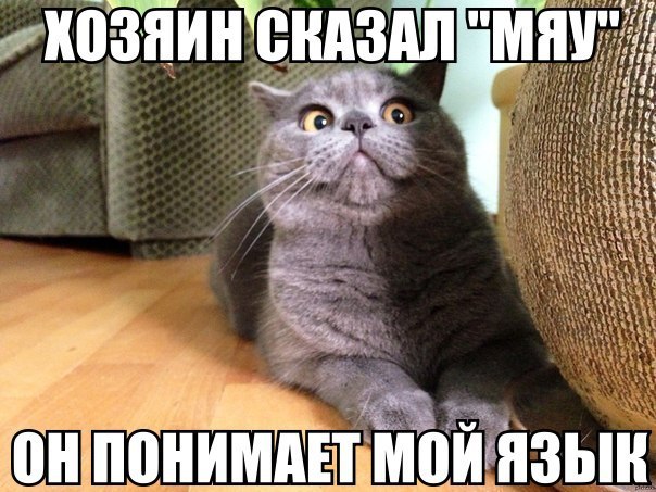 yV9ywGE36v0