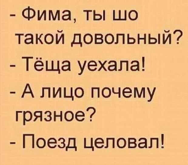 Истории и шутки для настроения