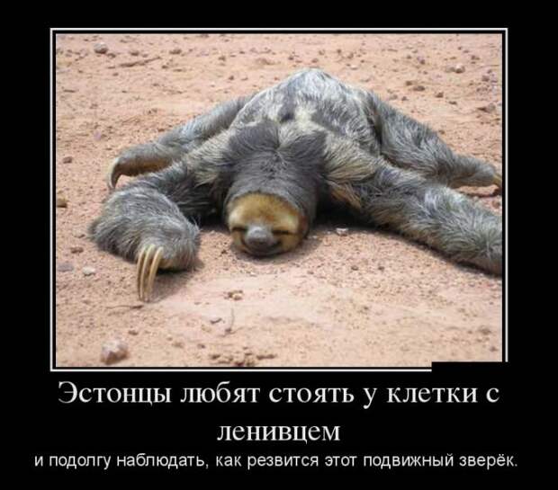 Свежие демотиваторы декабря Свежие демотиваторы декабря