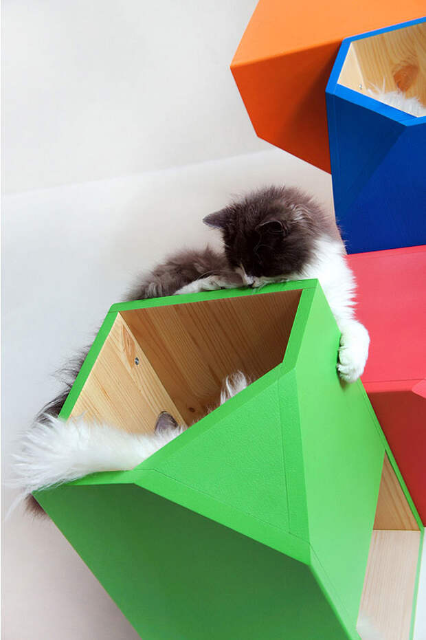 Catissa: кошкин дом