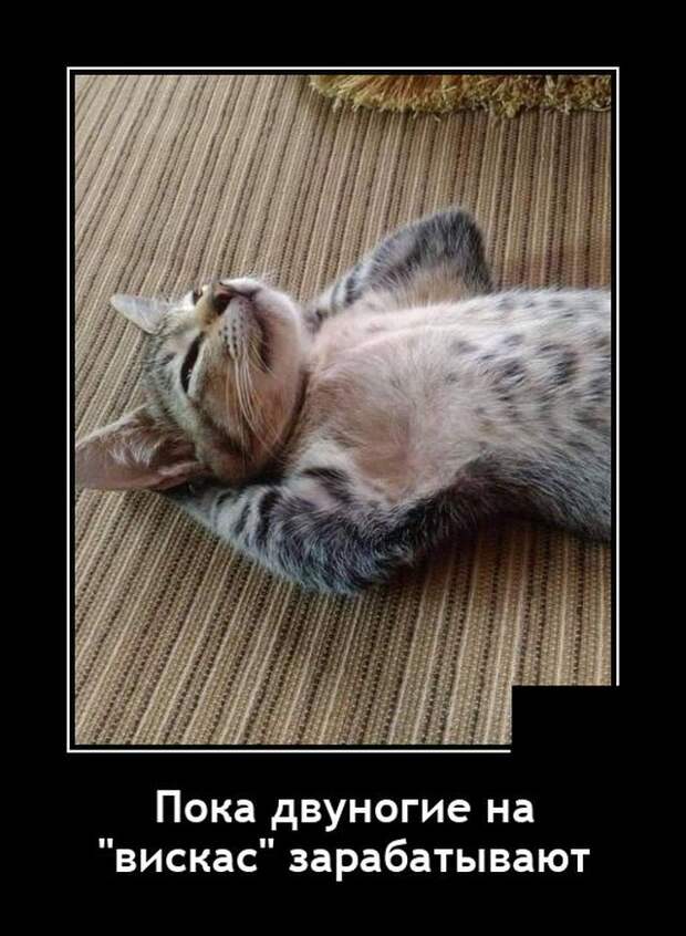 Демотиваторы 10 июня 2021