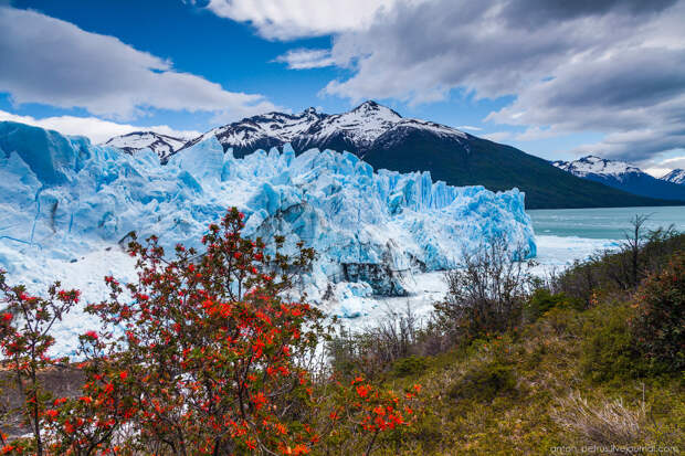 Ледник Перито Морено