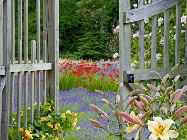 Мой зачарованный сад: вся палитра красок кантри-сада на 6 сотках