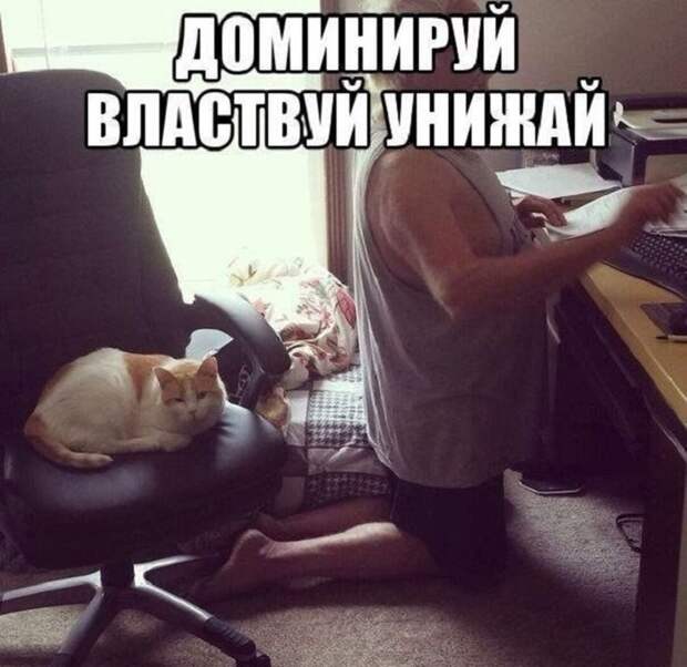 Картинки со смешными подписями