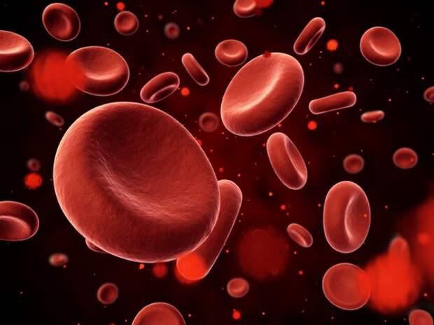 11 удивительных фактов про иммунную систему
