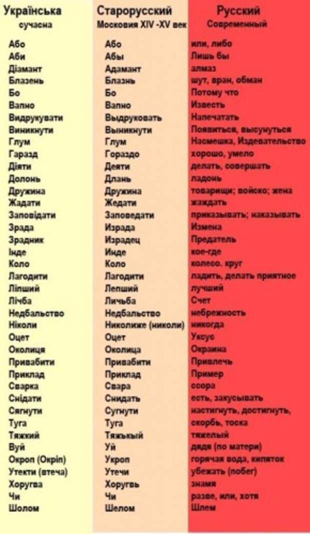 53c22e8ee5a2.jpg