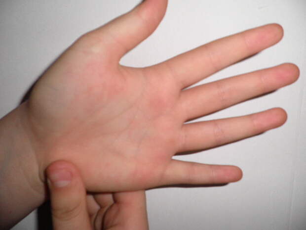 85417298_4387736_Kishechnik_1 (640x480, 146Kb)