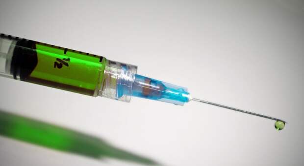 Гинцбург рассказал о продолжительности действия вакцины «Спутник V»