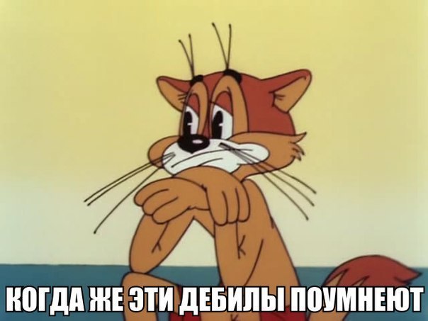 gsSdE9xnBr4
