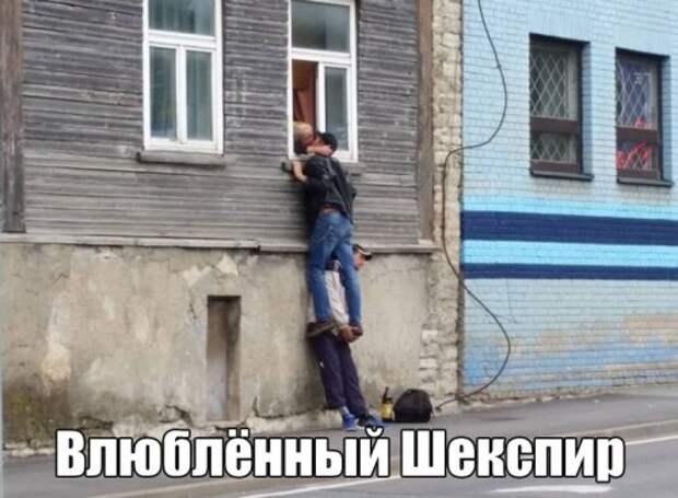 Прикольные картинки нон-стоп (28 шт)