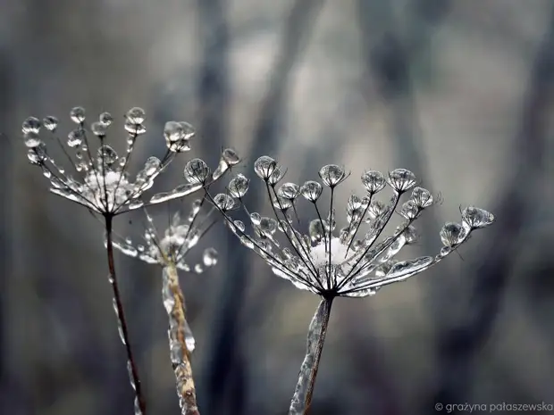 Красота при низких температурах
