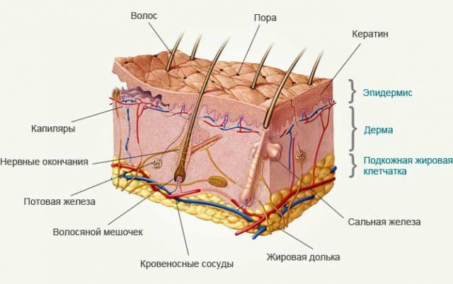 Что нужно знать об уходе за кожей после 30 лет