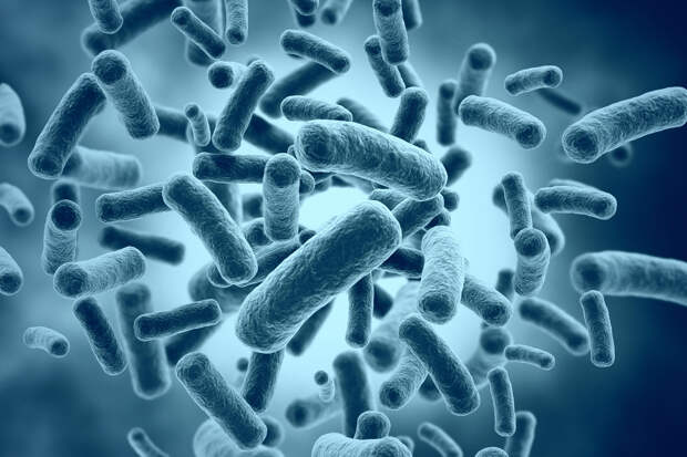 Nature Microbiology: бактерии холеры обманывают вирусы