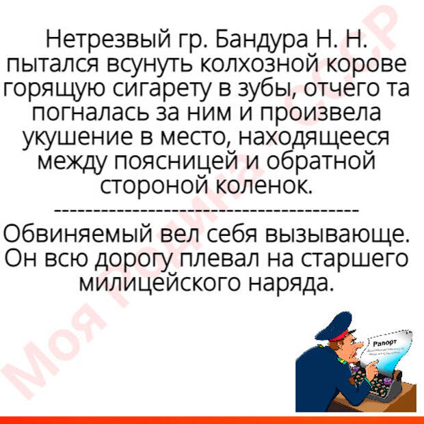 Так и запишем... Из показаний и милицейских протоколов