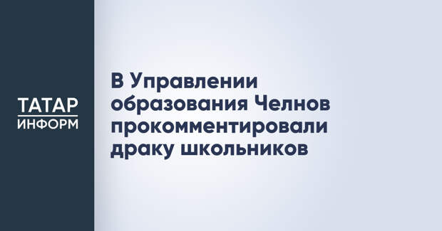 В Управлении образования Челнов прокомментировали драку школьников
