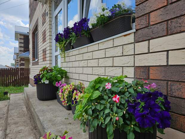 На входе встречают композиции в ящиках и кашпо