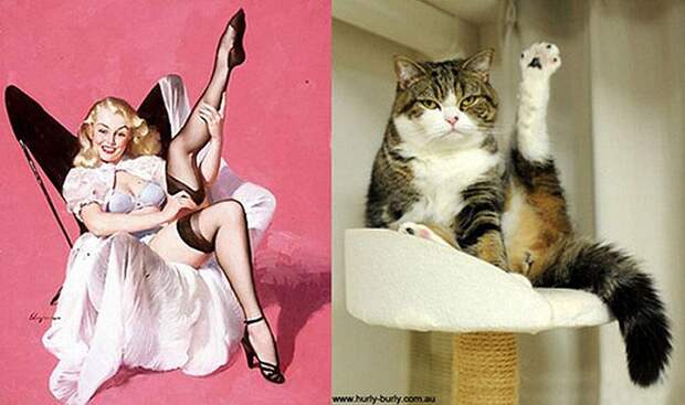 Кошки и девушки в стиле пинап pinupcats07 Кошки и девушки в стиле пинап