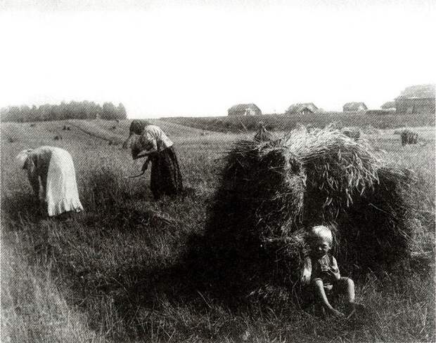 А так "не работали" крестьянки на полях Черноземья в конце 19 века. Фото из свободных источников.