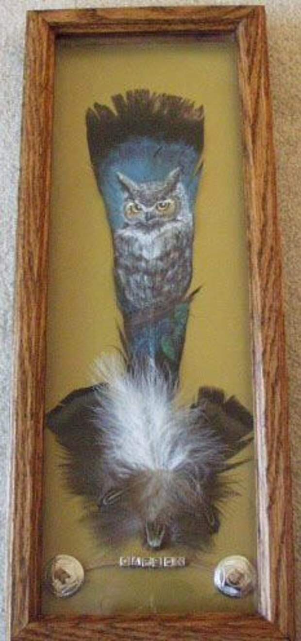 Painted Owl Feather