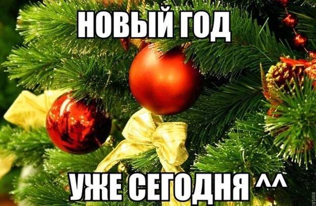 Когда 31 декабря. 31 Декабря картинки прикольные. Статус про 31 декабря. 31 Декабря и 1 января картинки приколы. Скоро новый год не забудьте.