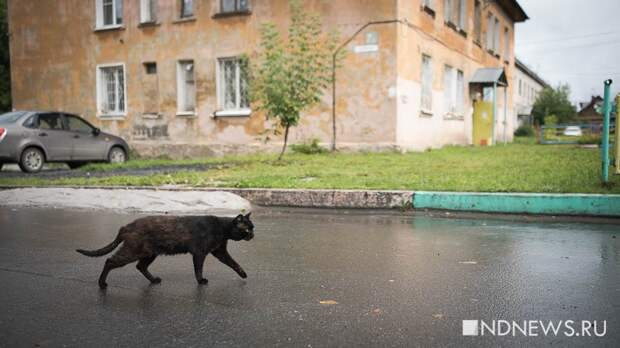 В мэрии рассказали, что делать, если дом попал в программу КРТ