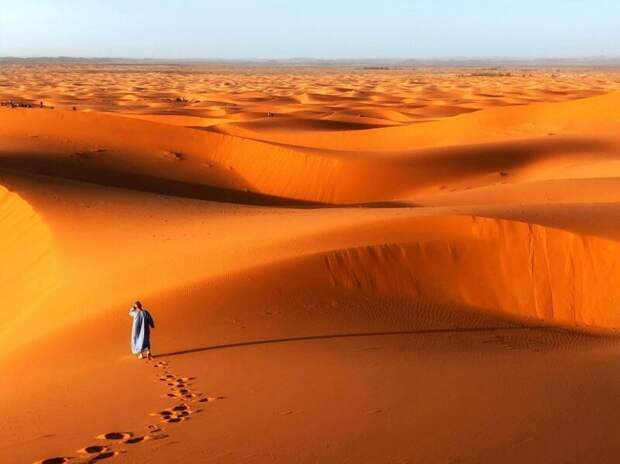 Бескончная пустыня. Фотограф: Yuexiang Wang в мире, животные, кадр, люди, природа, смартфон, фото, фотограф
