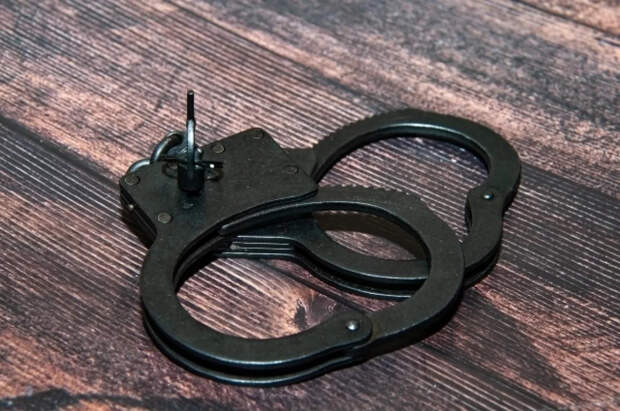 Экс-министр аграрной политики Сольский арестован по делу о фиктивной продаже зерна