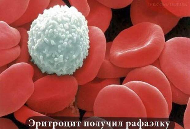 Очередная порция забавных фотомемов (24 шт) Очередная порция забавных фотомемов (24 шт)