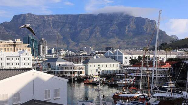 Блогер из рекламы с Гузеевой после обвинений в обмане купил дом в Африке