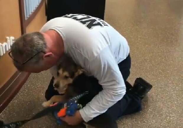 Мужчина обнял собаку